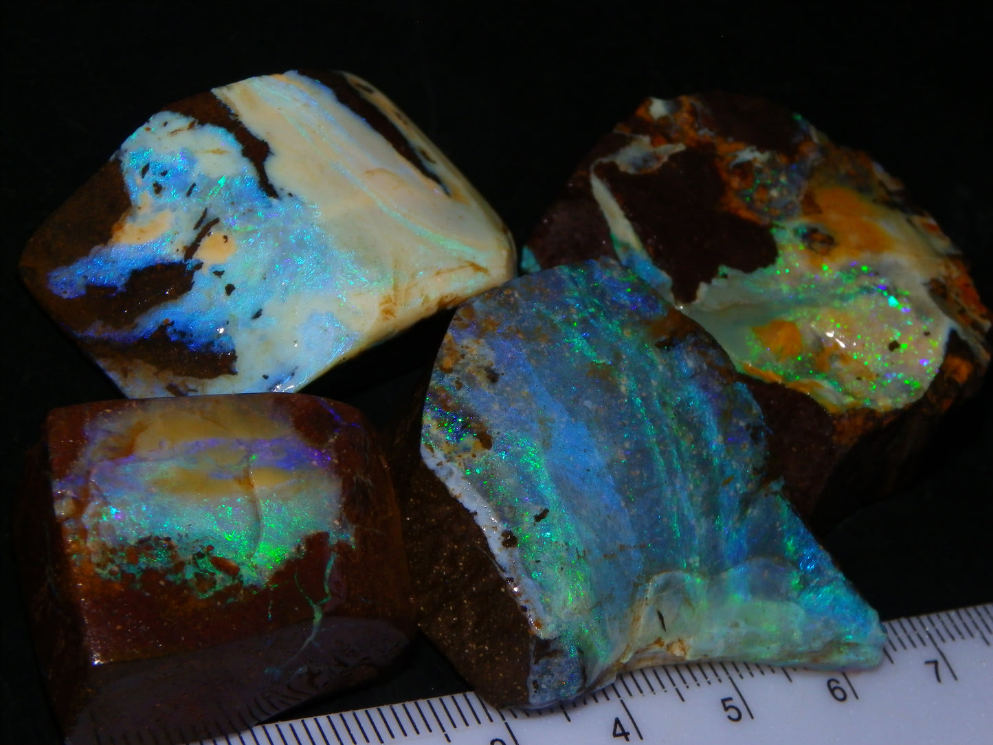Nice Rough/Sliced/Rubbed Boulder Opal 469cts Winton, Queensland Blue/Greens