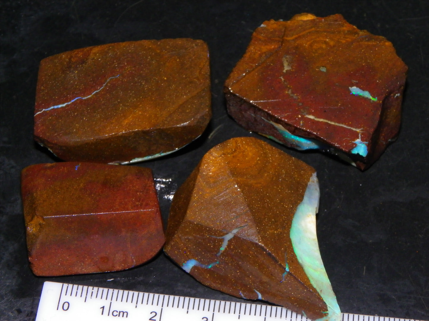 Nice Rough/Sliced/Rubbed Boulder Opal 469cts Winton, Queensland Blue/Greens