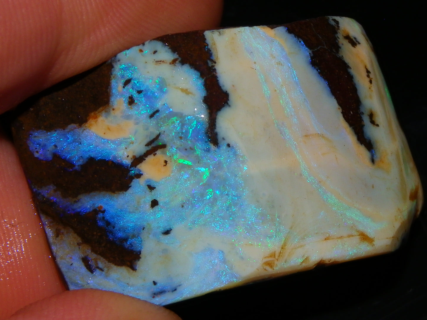 Nice Rough/Sliced/Rubbed Boulder Opal 469cts Winton, Queensland Blue/Greens