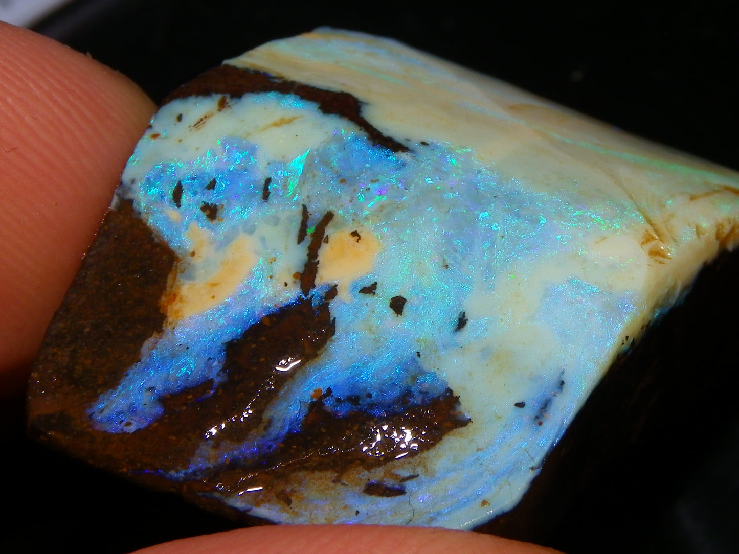 Nice Rough/Sliced/Rubbed Boulder Opal 469cts Winton, Queensland Blue/Greens