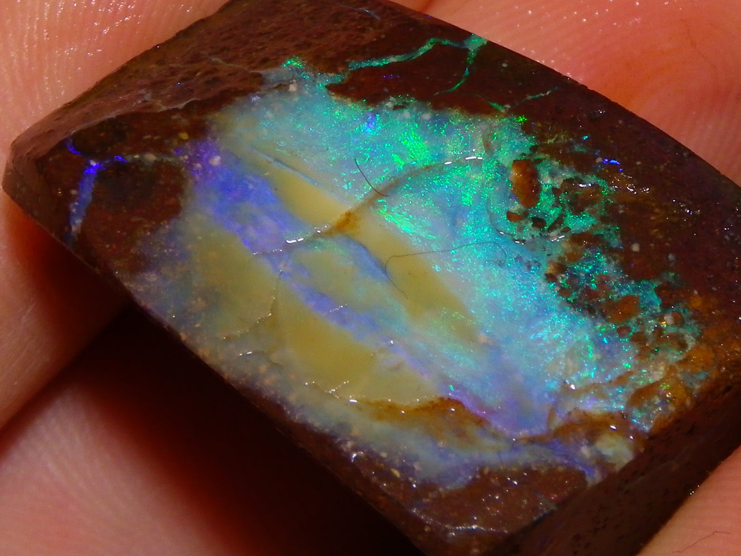 Nice Rough/Sliced/Rubbed Boulder Opal 469cts Winton, Queensland Blue/Greens