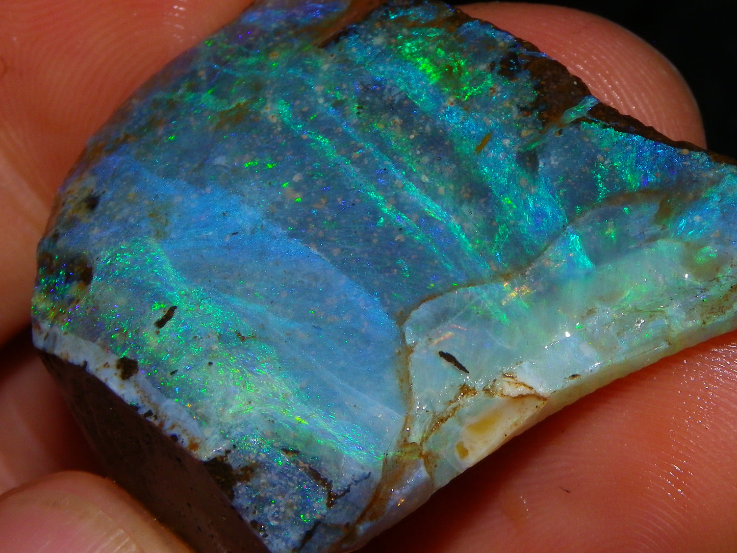 Nice Rough/Sliced/Rubbed Boulder Opal 469cts Winton, Queensland Blue/Greens