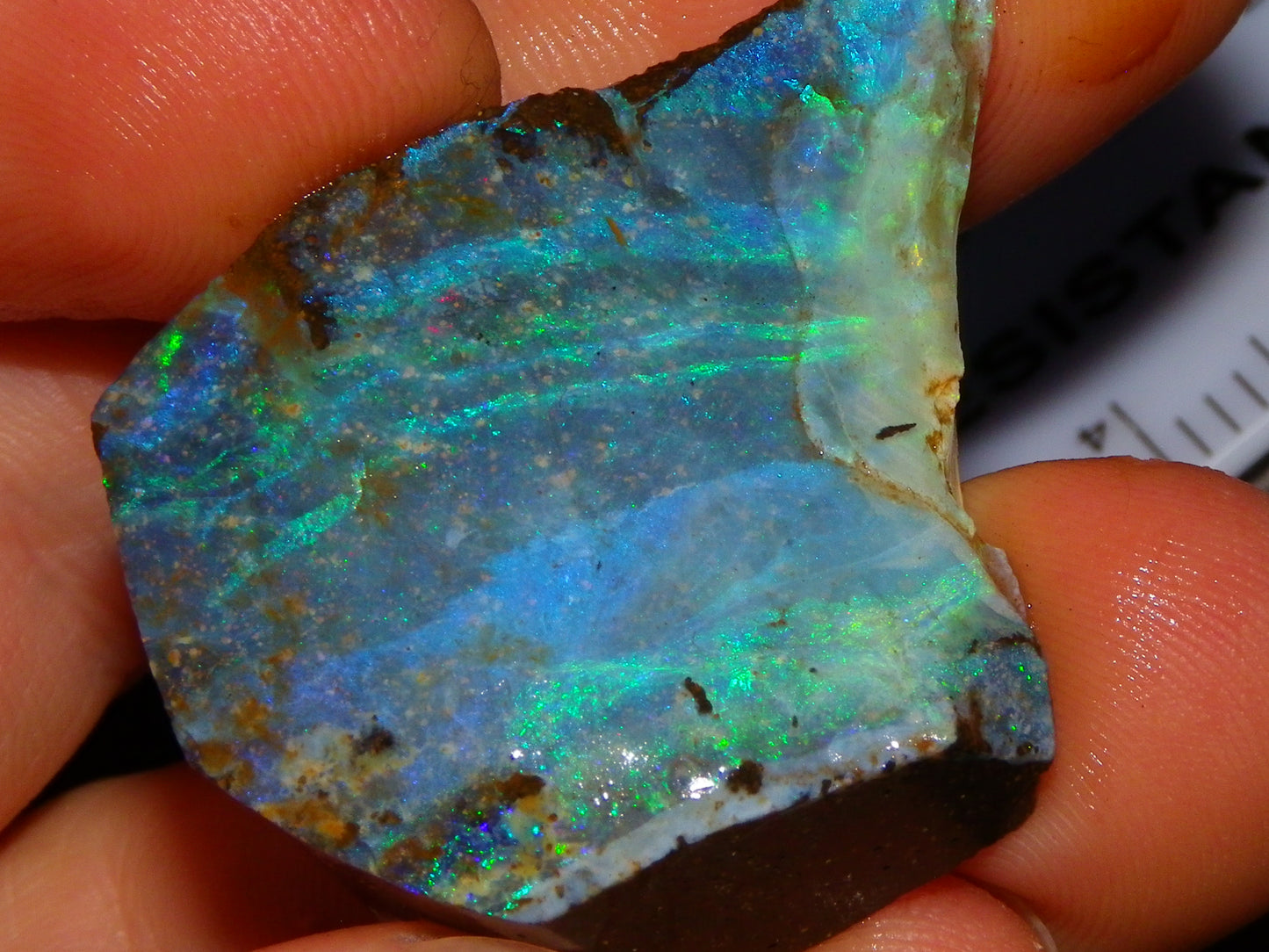 Nice Rough/Sliced/Rubbed Boulder Opal 469cts Winton, Queensland Blue/Greens