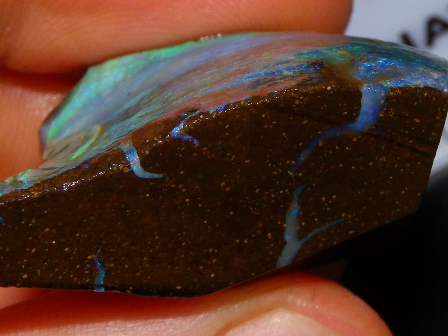 Nice Rough/Sliced/Rubbed Boulder Opal 469cts Winton, Queensland Blue/Greens