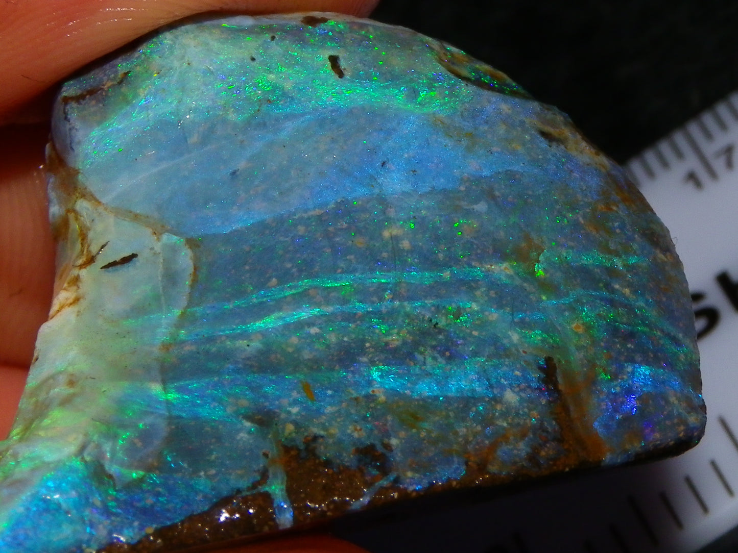 Nice Rough/Sliced/Rubbed Boulder Opal 469cts Winton, Queensland Blue/Greens