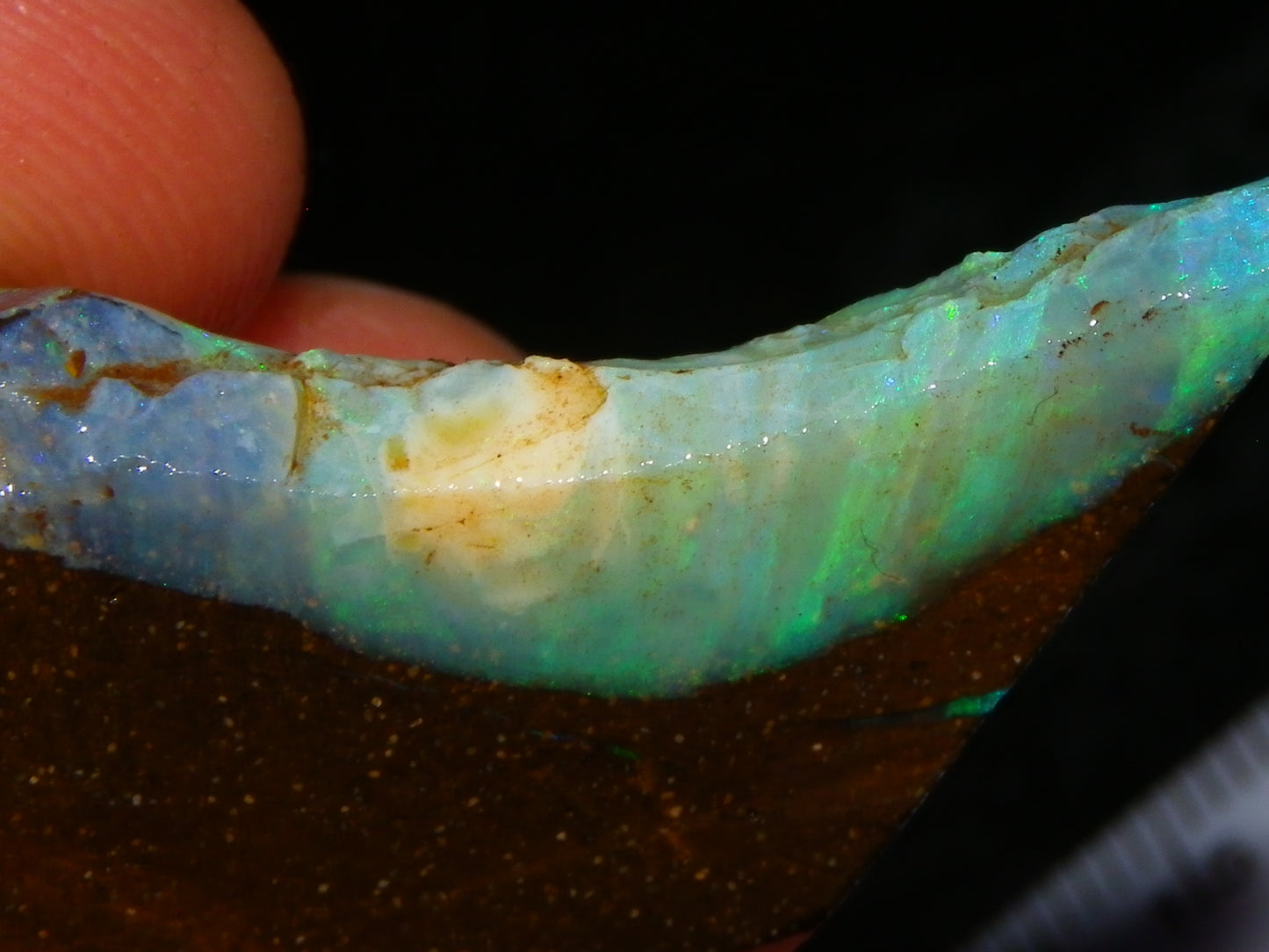 Nice Rough/Sliced/Rubbed Boulder Opal 469cts Winton, Queensland Blue/Greens