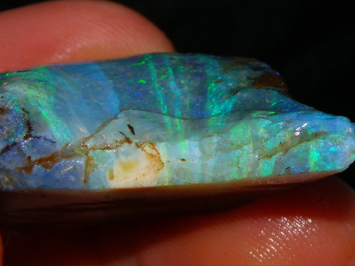 Nice Rough/Sliced/Rubbed Boulder Opal 469cts Winton, Queensland Blue/Greens