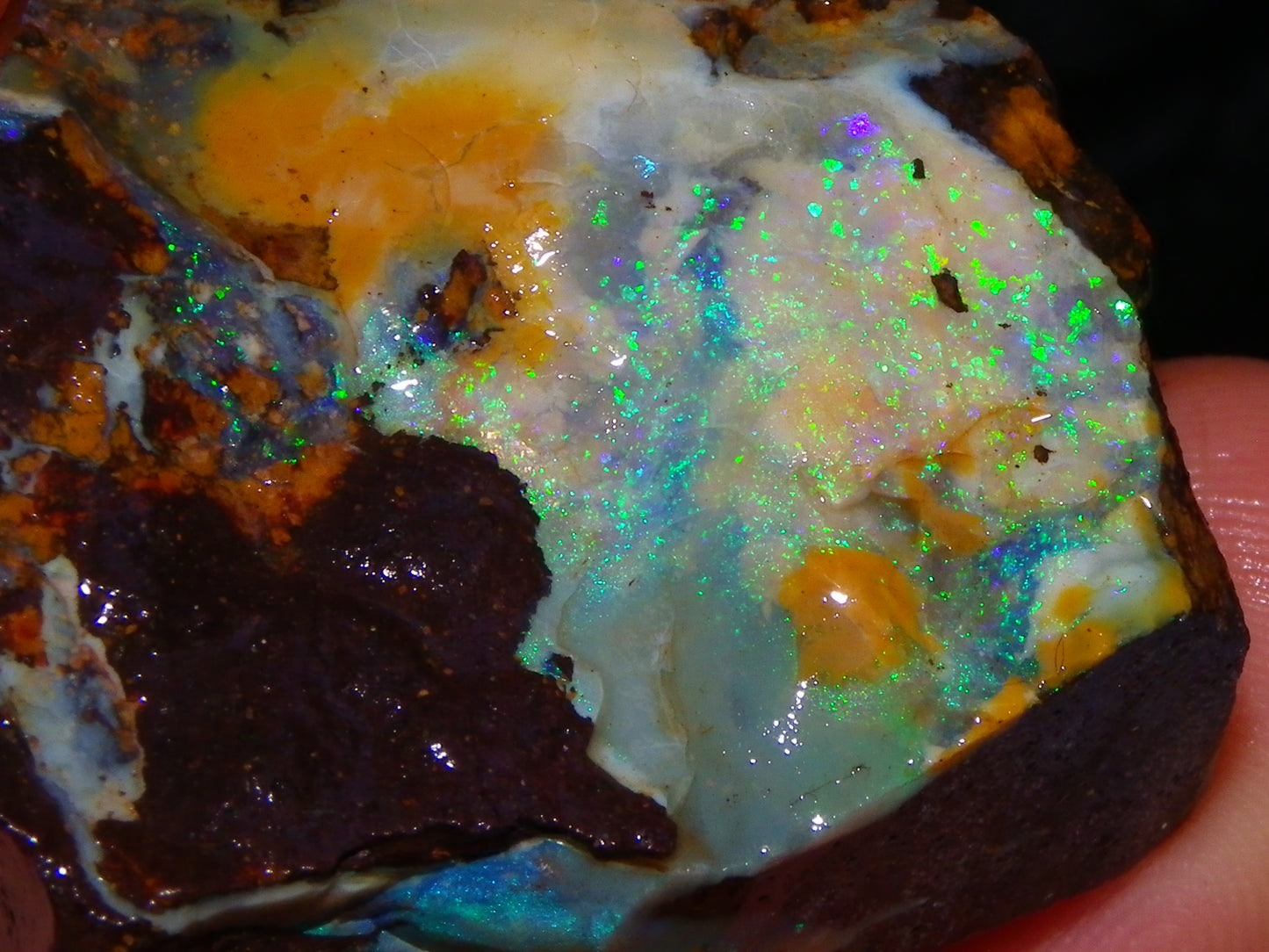 Nice Rough/Sliced/Rubbed Boulder Opal 469cts Winton, Queensland Blue/Greens