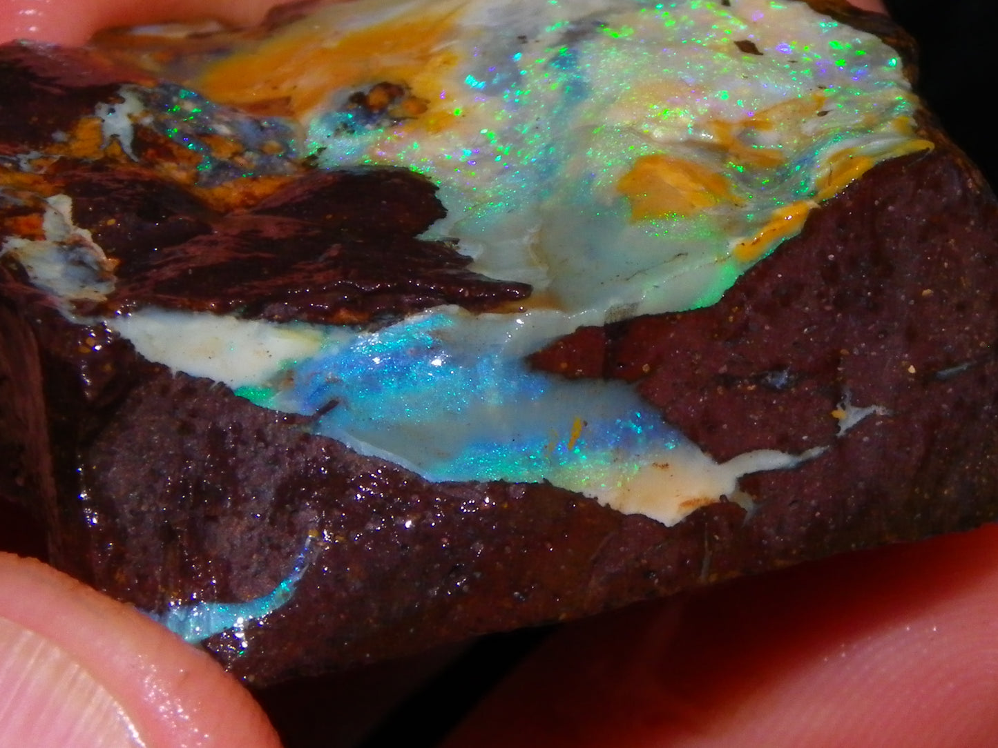 Nice Rough/Sliced/Rubbed Boulder Opal 469cts Winton, Queensland Blue/Greens
