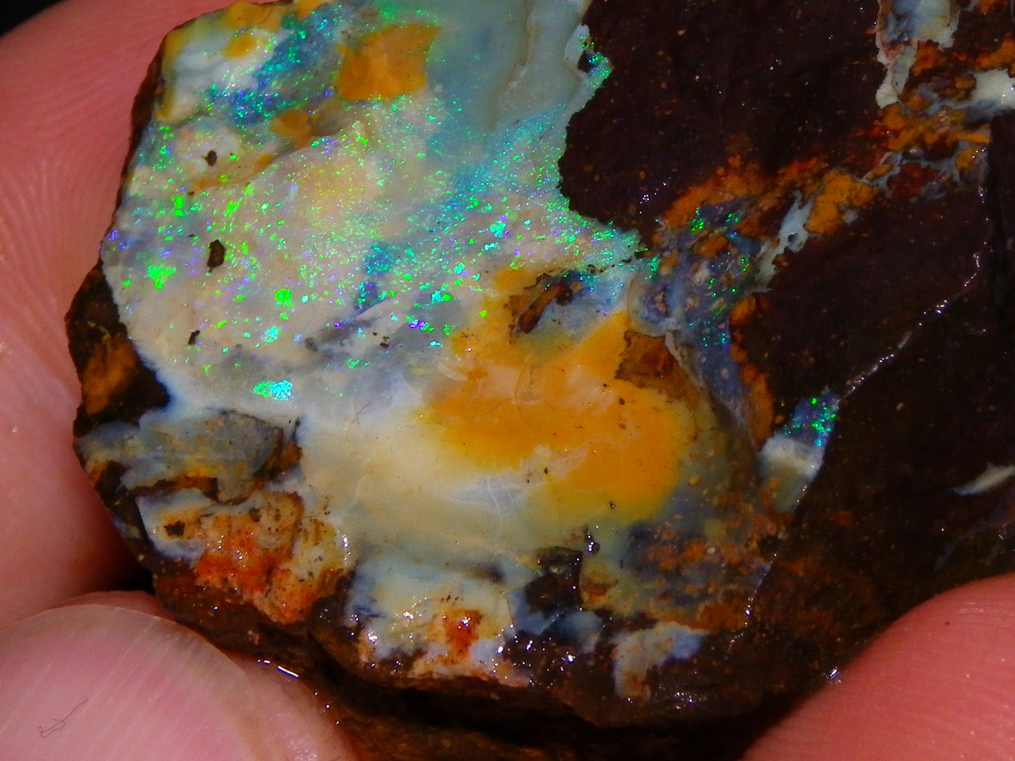 Nice Rough/Sliced/Rubbed Boulder Opal 469cts Winton, Queensland Blue/Greens