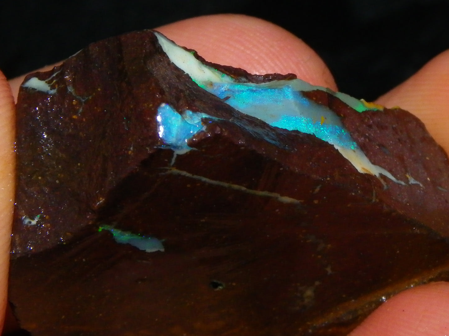 Nice Rough/Sliced/Rubbed Boulder Opal 469cts Winton, Queensland Blue/Greens