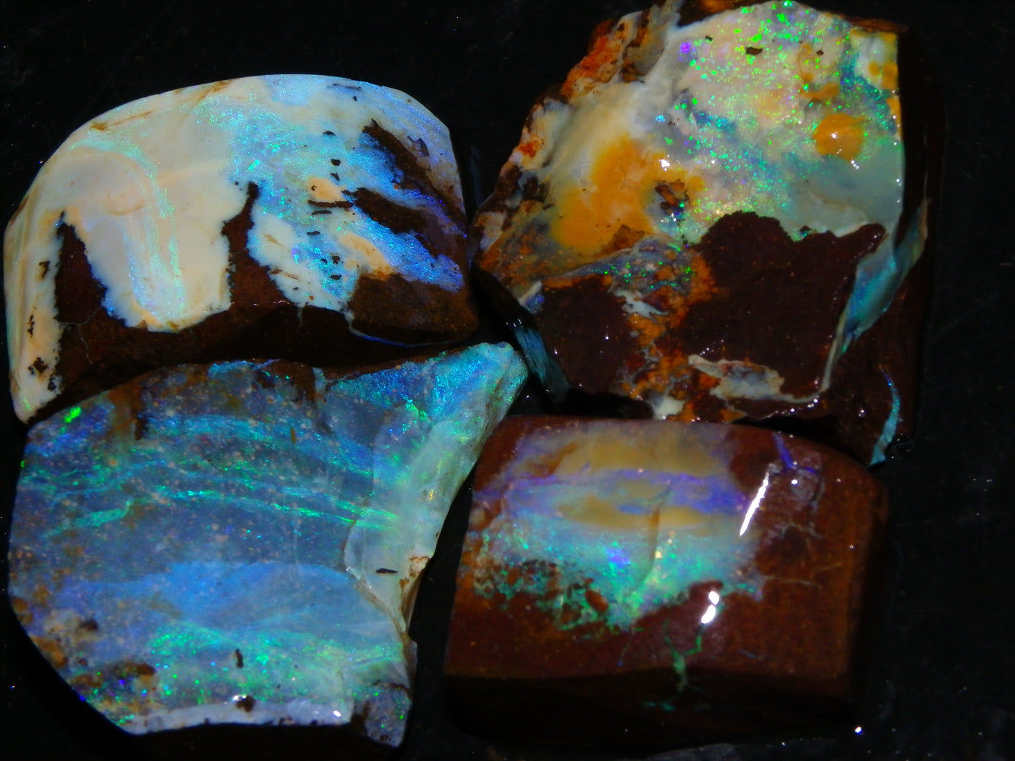 Nice Rough/Sliced/Rubbed Boulder Opal 469cts Winton, Queensland Blue/Greens