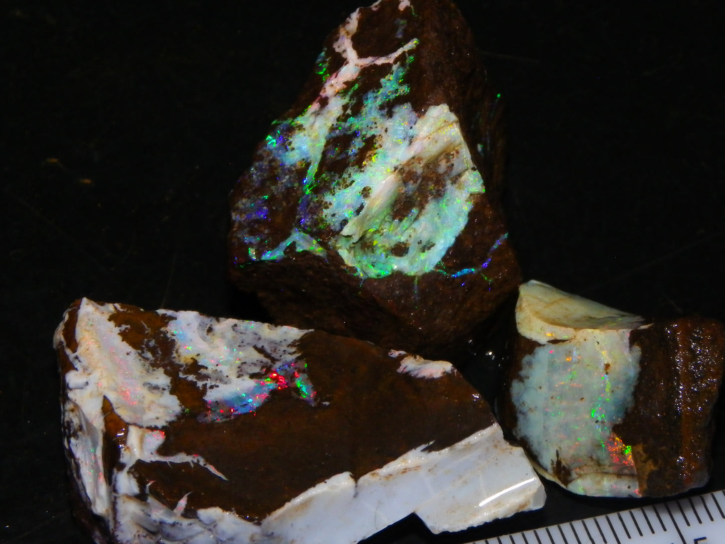 3 Nice Rough Boulder Opals 216.5cts Queensland Australia Red/Green/Blue Fires