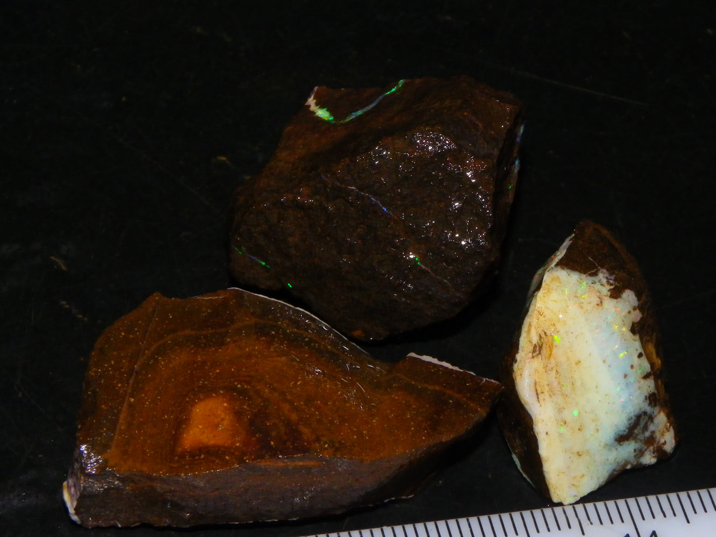 3 Nice Rough Boulder Opals 216.5cts Queensland Australia Red/Green/Blue Fires