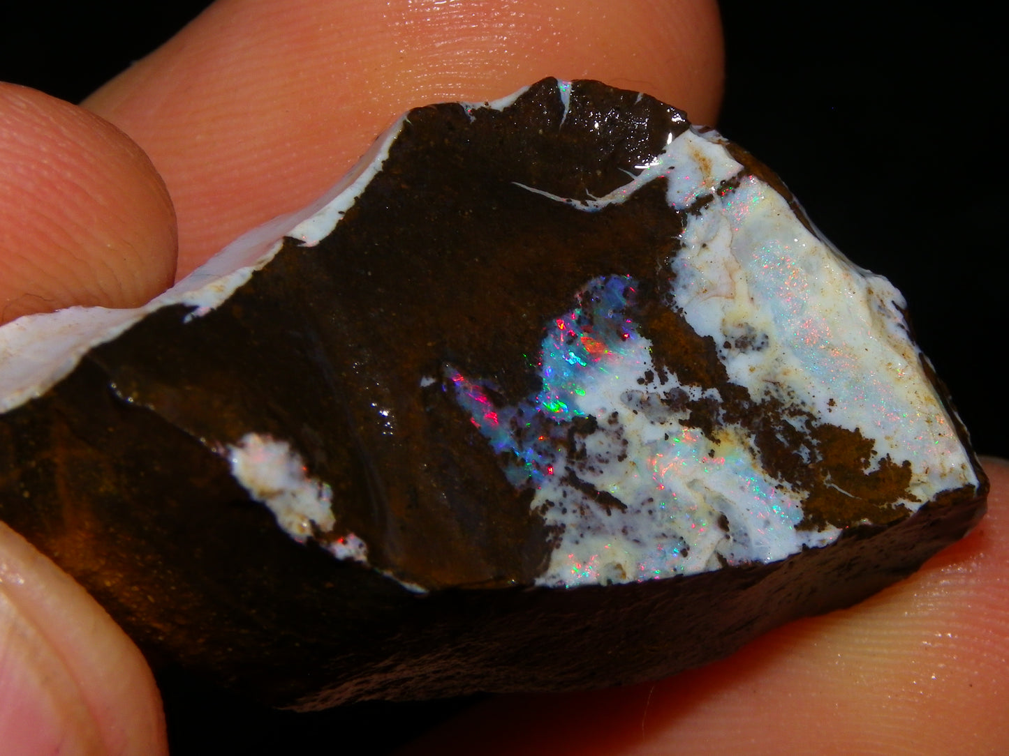 3 Nice Rough Boulder Opals 216.5cts Queensland Australia Red/Green/Blue Fires