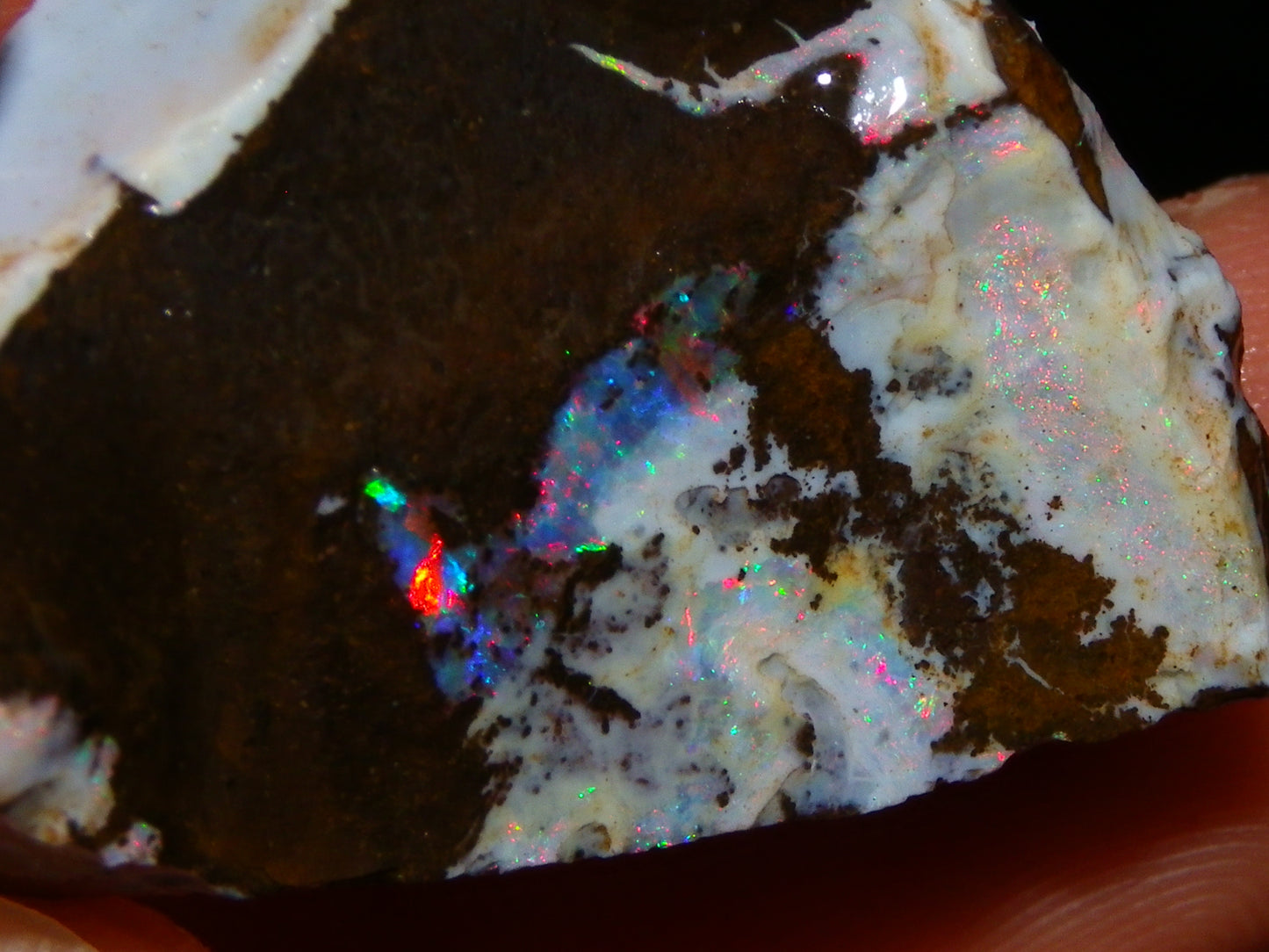 3 Nice Rough Boulder Opals 216.5cts Queensland Australia Red/Green/Blue Fires