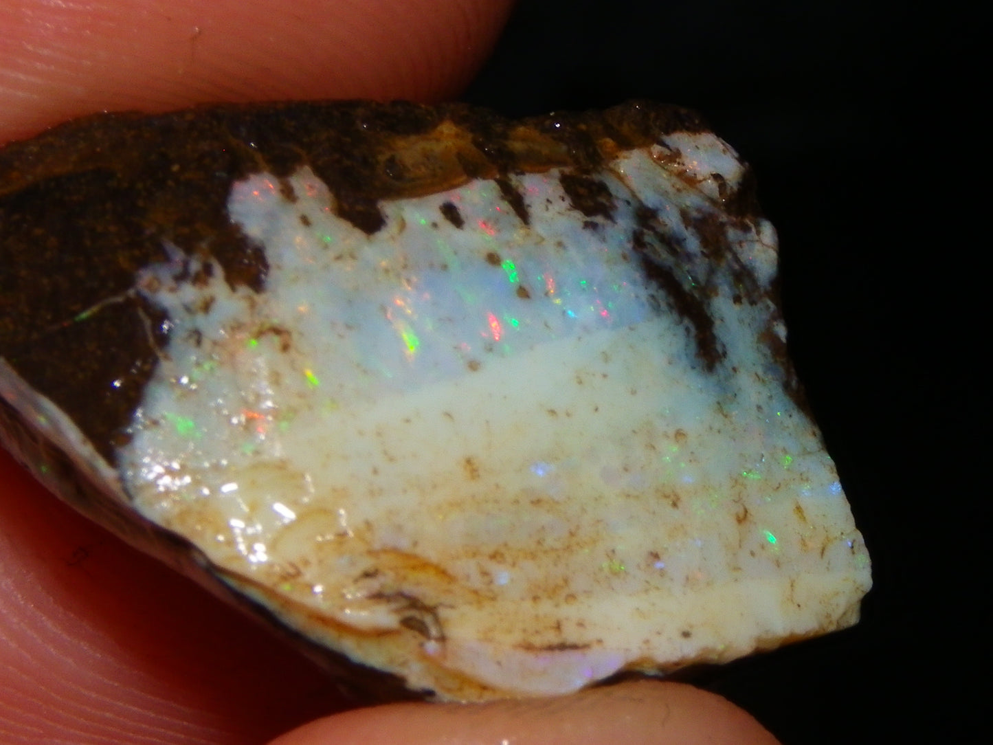 3 Nice Rough Boulder Opals 216.5cts Queensland Australia Red/Green/Blue Fires