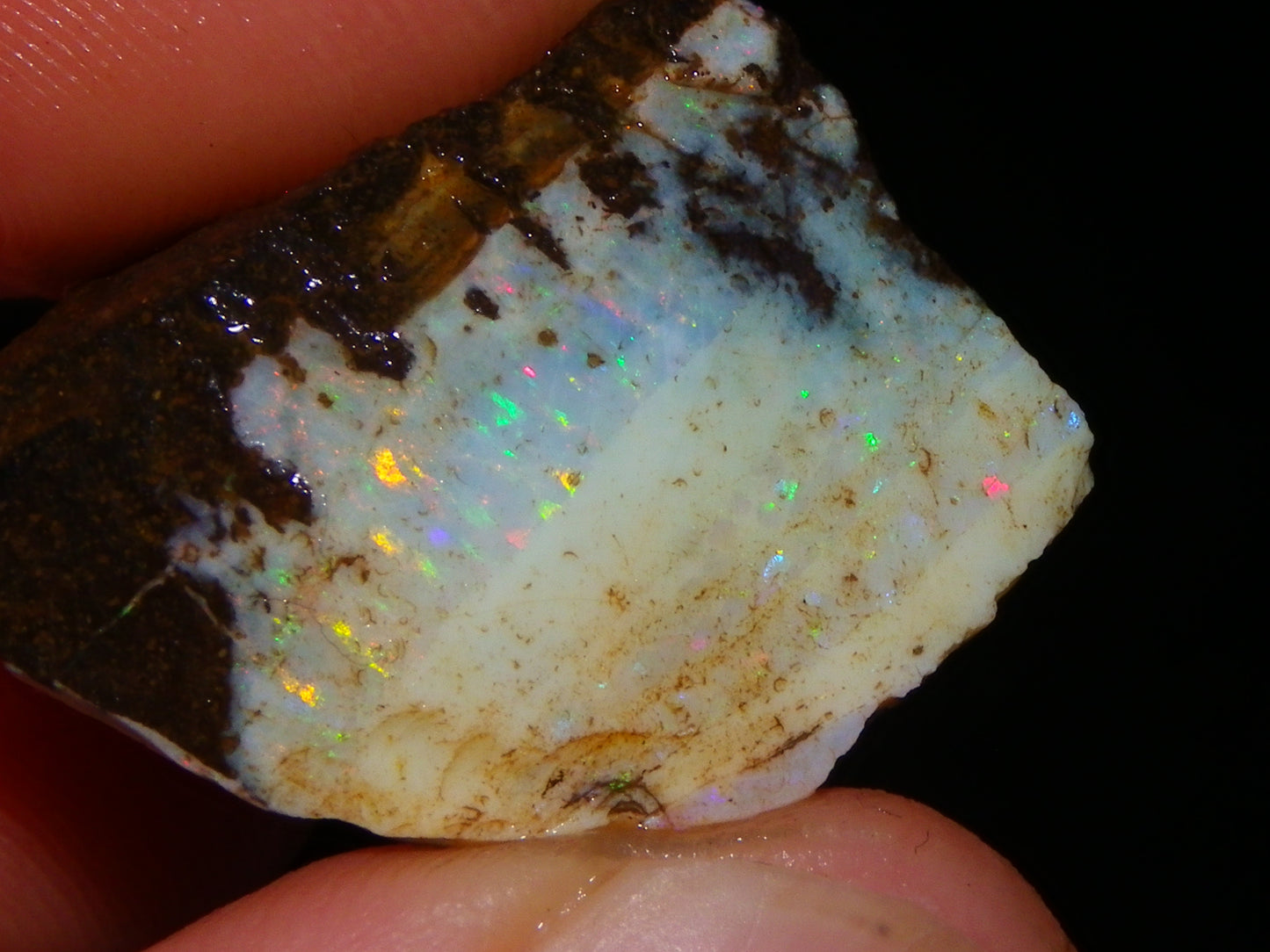 3 Nice Rough Boulder Opals 216.5cts Queensland Australia Red/Green/Blue Fires