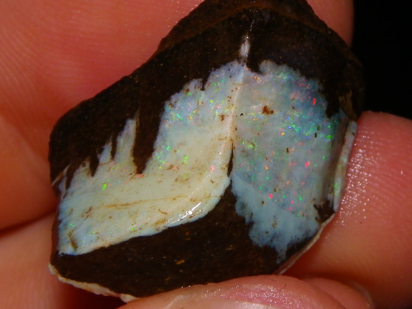 3 Nice Rough Boulder Opals 216.5cts Queensland Australia Red/Green/Blue Fires
