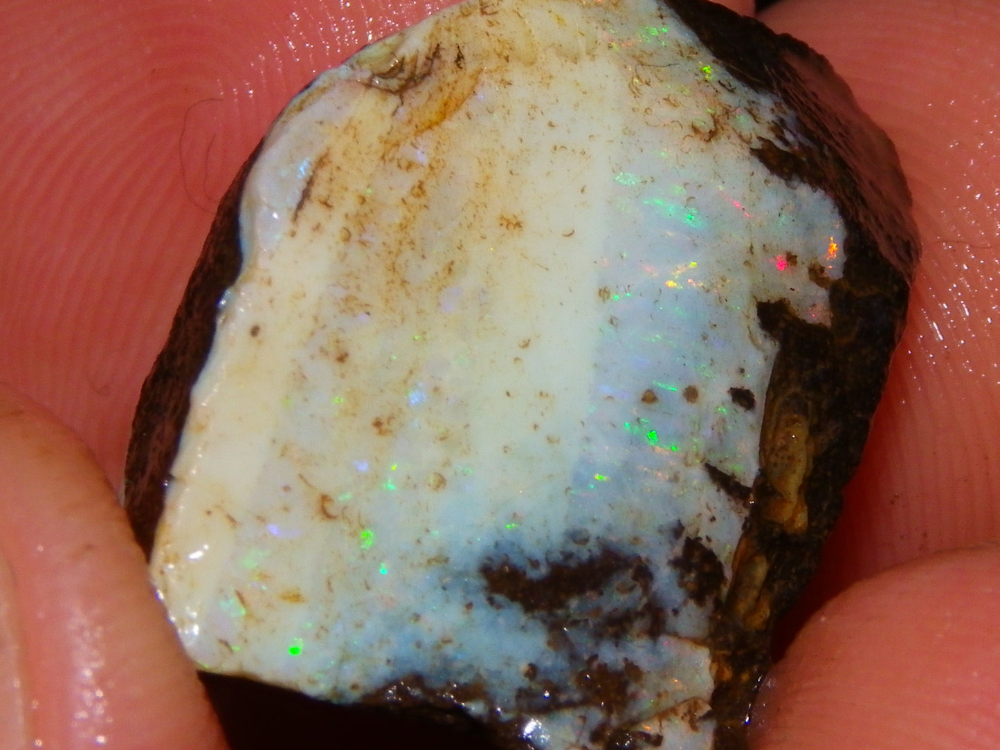3 Nice Rough Boulder Opals 216.5cts Queensland Australia Red/Green/Blue Fires