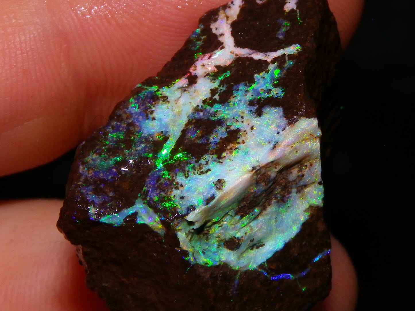 3 Nice Rough Boulder Opals 216.5cts Queensland Australia Red/Green/Blue Fires