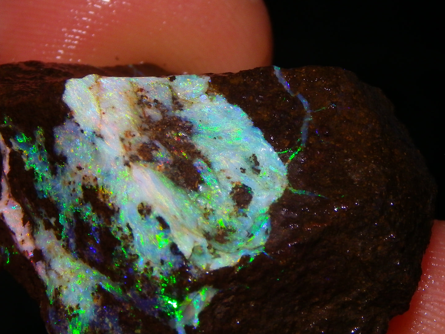 3 Nice Rough Boulder Opals 216.5cts Queensland Australia Red/Green/Blue Fires