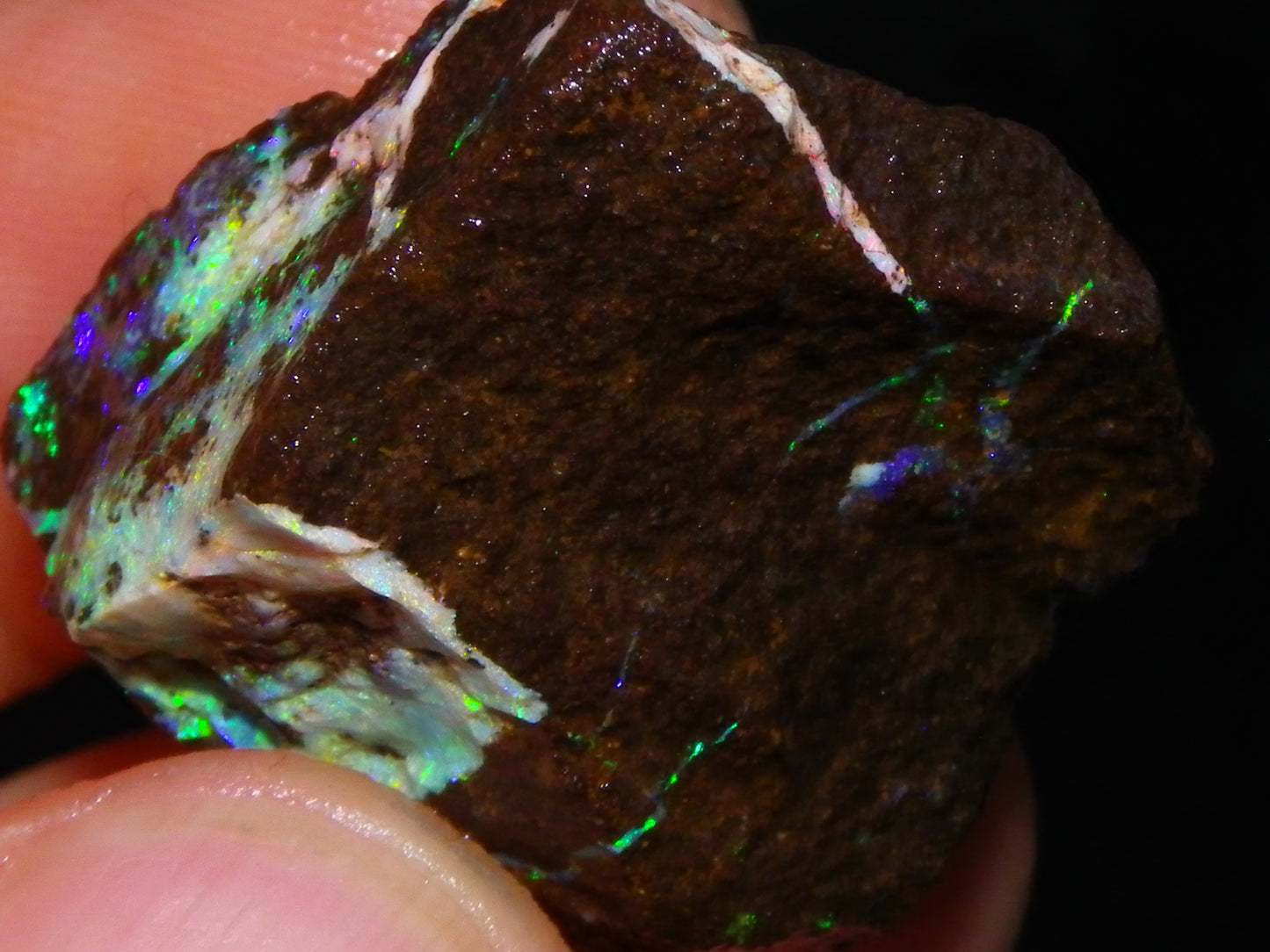 3 Nice Rough Boulder Opals 216.5cts Queensland Australia Red/Green/Blue Fires