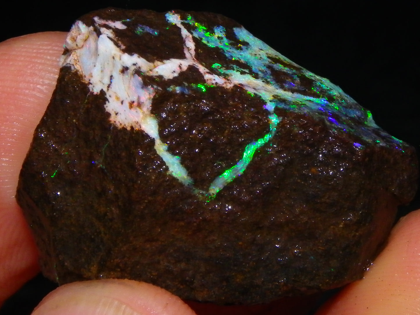 3 Nice Rough Boulder Opals 216.5cts Queensland Australia Red/Green/Blue Fires