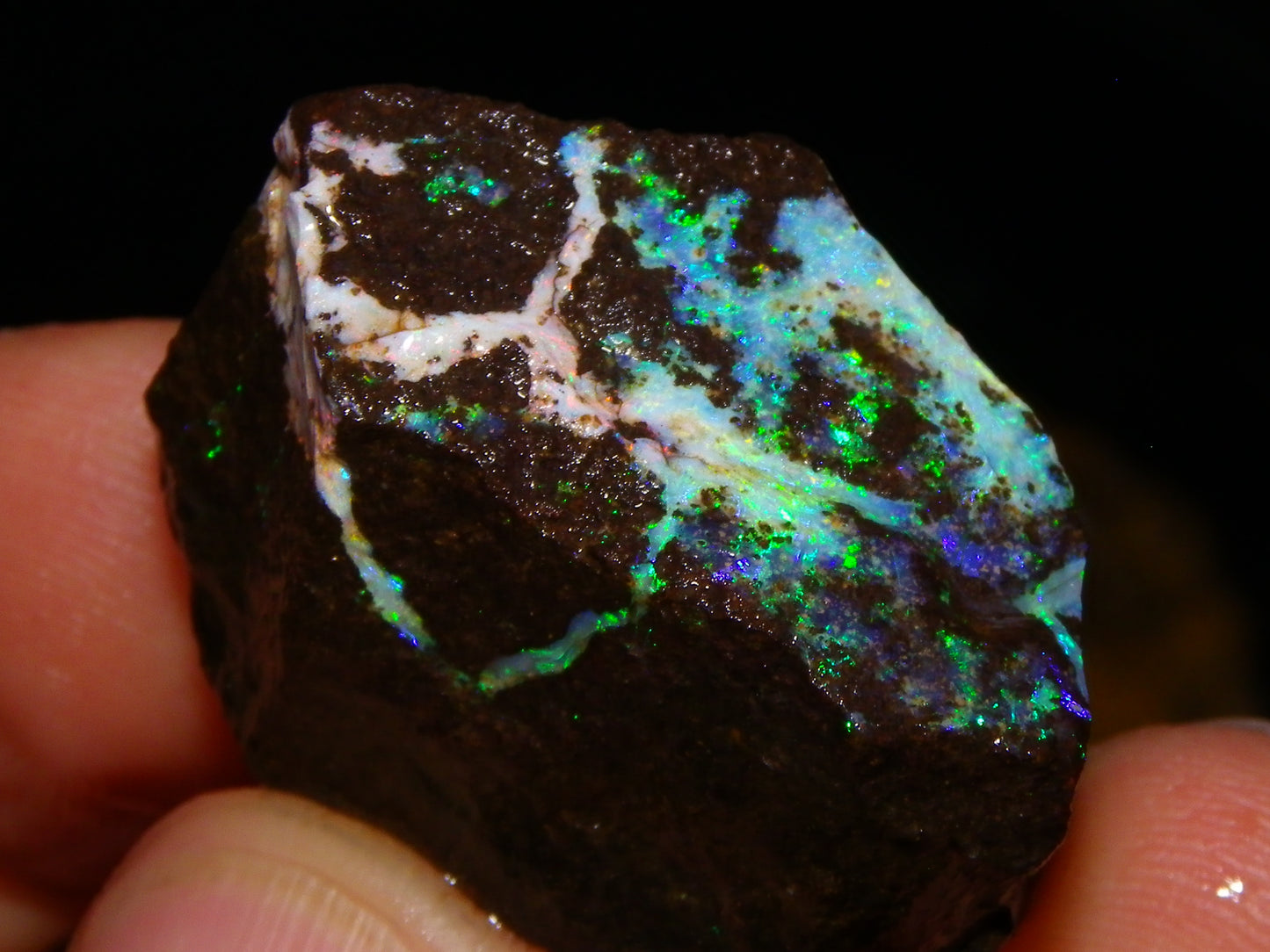 3 Nice Rough Boulder Opals 216.5cts Queensland Australia Red/Green/Blue Fires