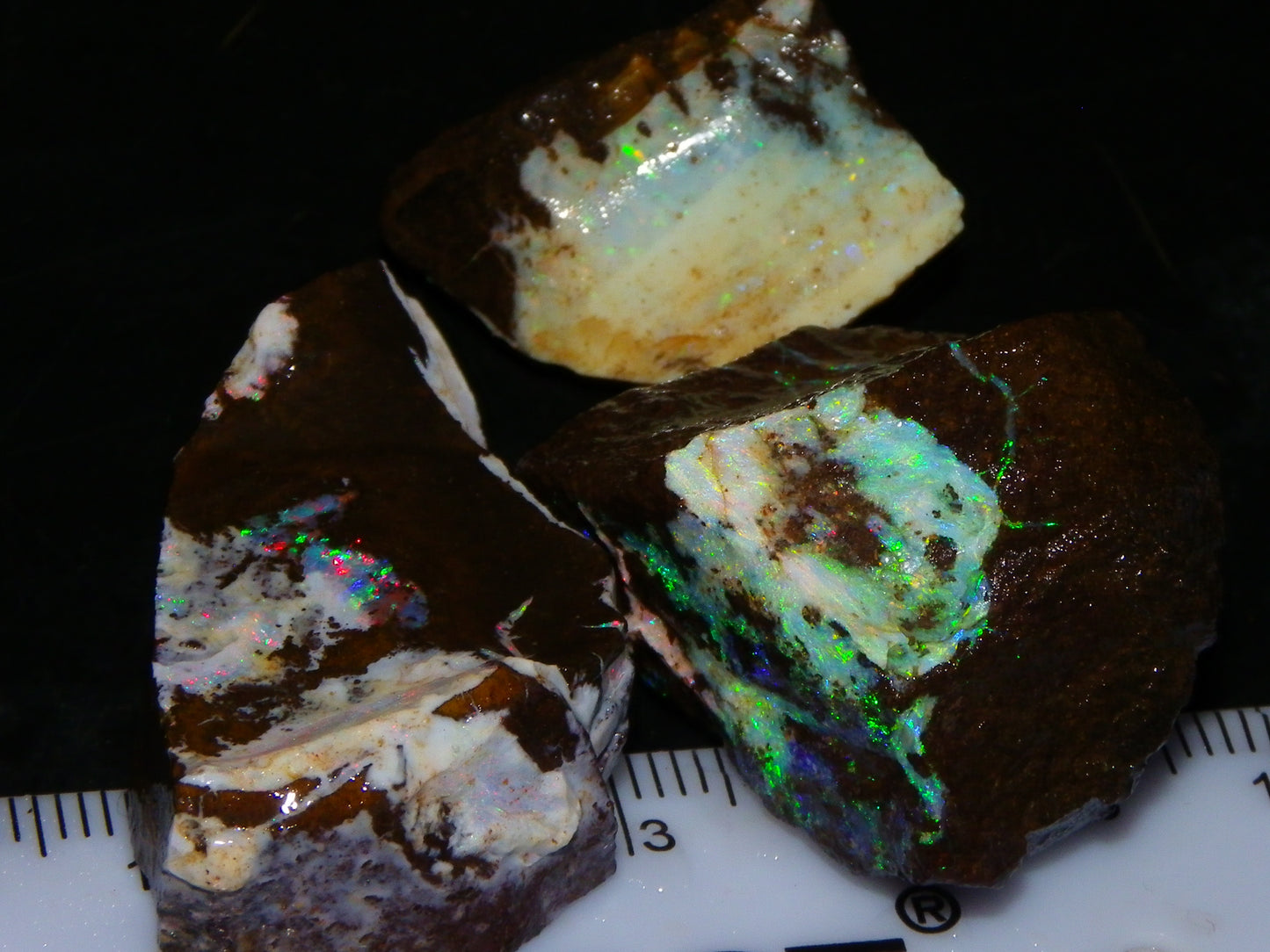 3 Nice Rough Boulder Opals 216.5cts Queensland Australia Red/Green/Blue Fires
