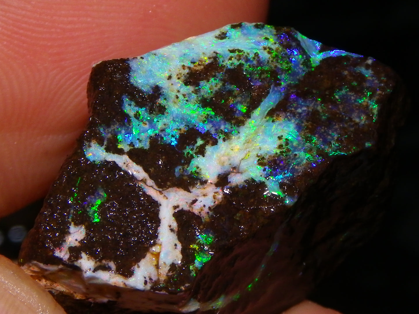 3 Nice Rough Boulder Opals 216.5cts Queensland Australia Red/Green/Blue Fires
