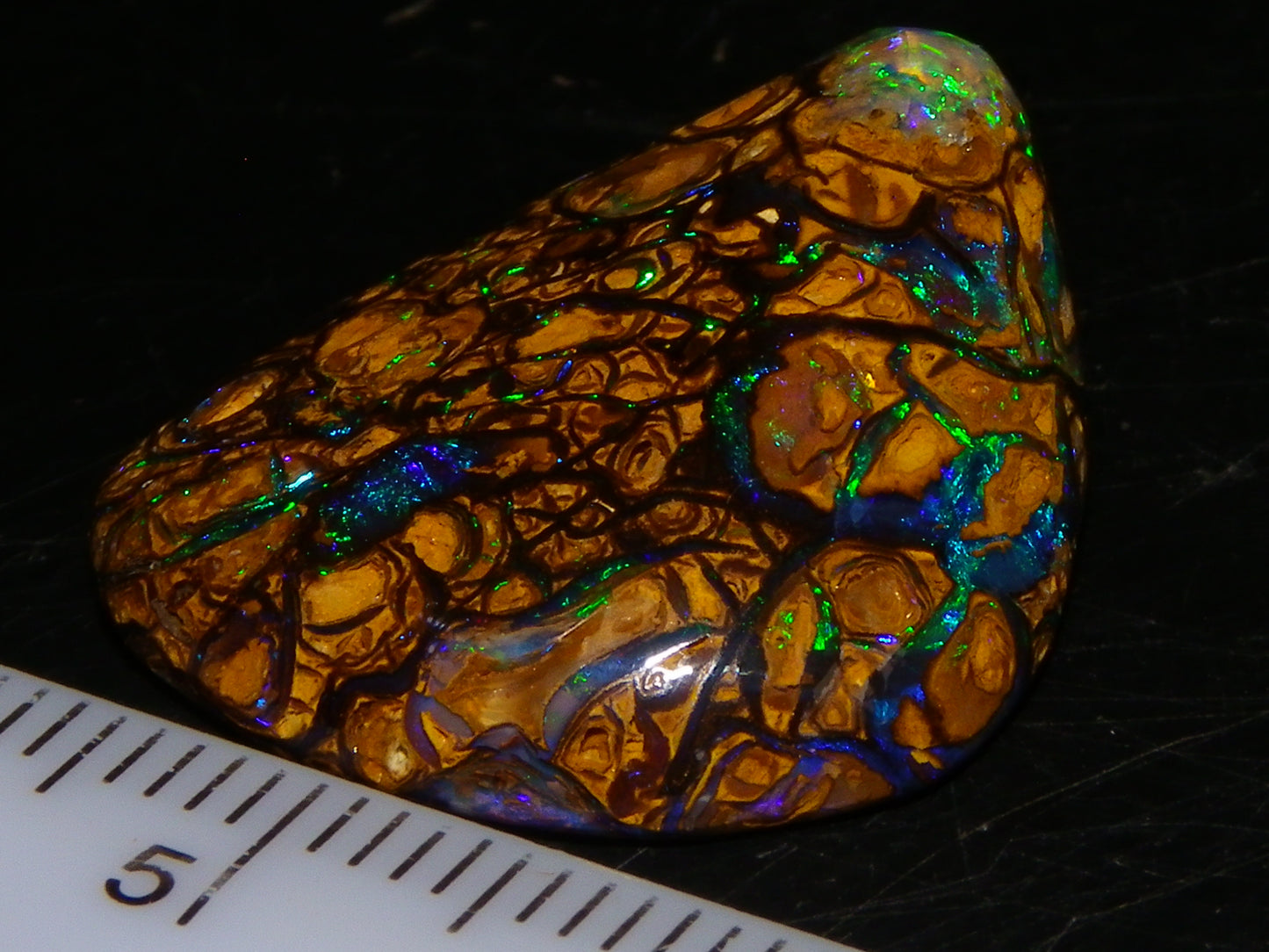 Very Nice Cut/Polished Koroit Opal Freeform/Cab 24.8cts Blue/Green Nut Fires Qld Australia