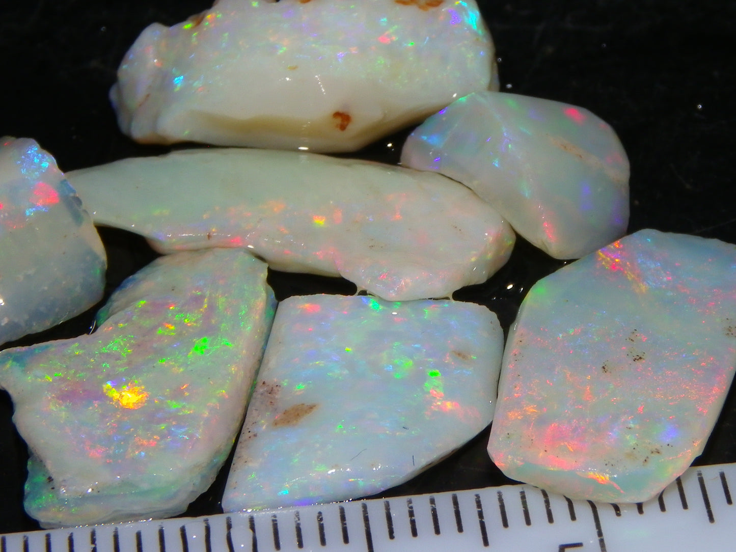 Nice Gem Skins Shell Opals 23cts Coober Pedy Australia Multiucolour Fires Specimens