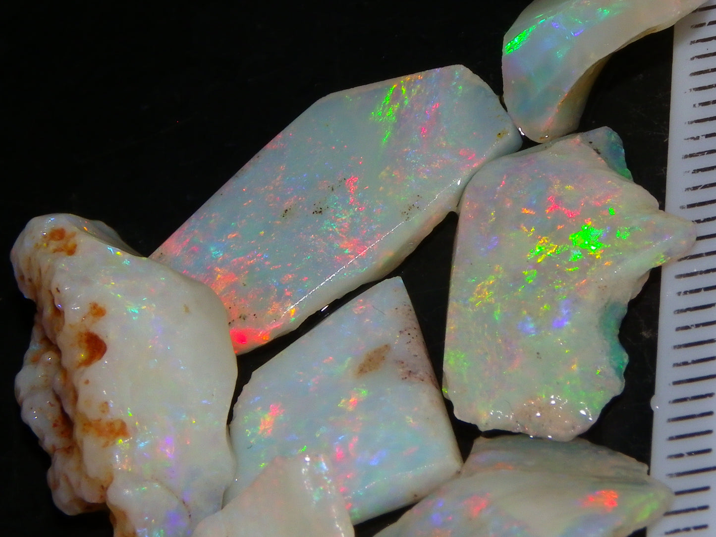 Nice Gem Skins Shell Opals 23cts Coober Pedy Australia Multiucolour Fires Specimens