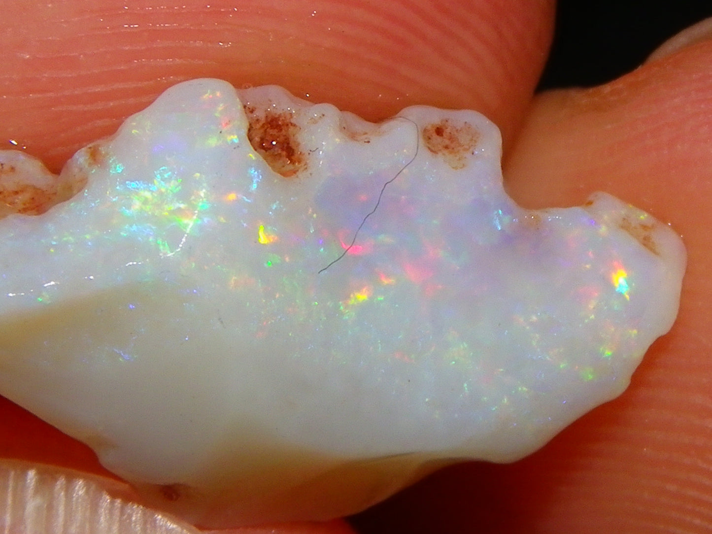 Nice Gem Skins Shell Opals 23cts Coober Pedy Australia Multiucolour Fires Specimens
