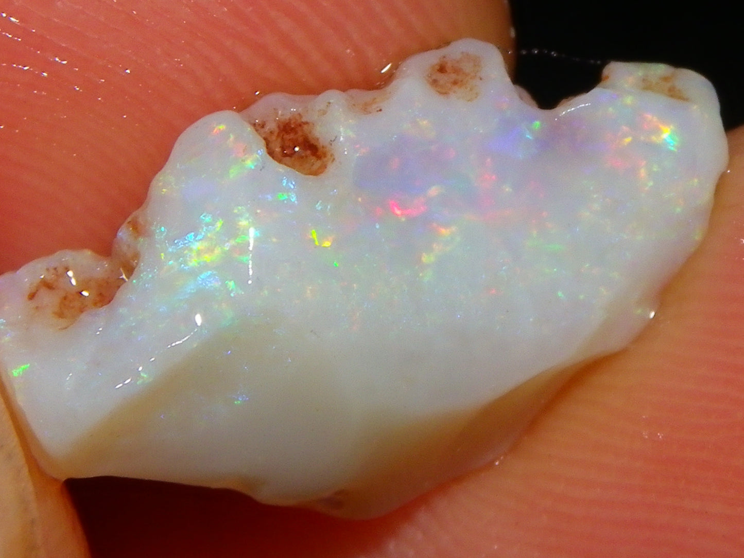 Nice Gem Skins Shell Opals 23cts Coober Pedy Australia Multiucolour Fires Specimens
