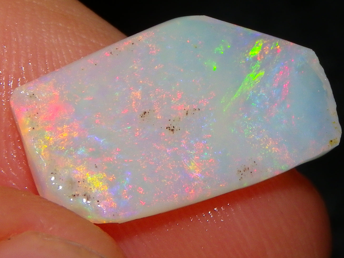 Nice Gem Skins Shell Opals 23cts Coober Pedy Australia Multiucolour Fires Specimens