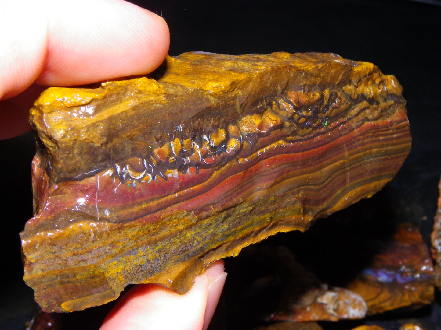 Large Parcel of Koroit Opal Rough/Specimens 4473cts Queensland Au Nuts/Patterns
