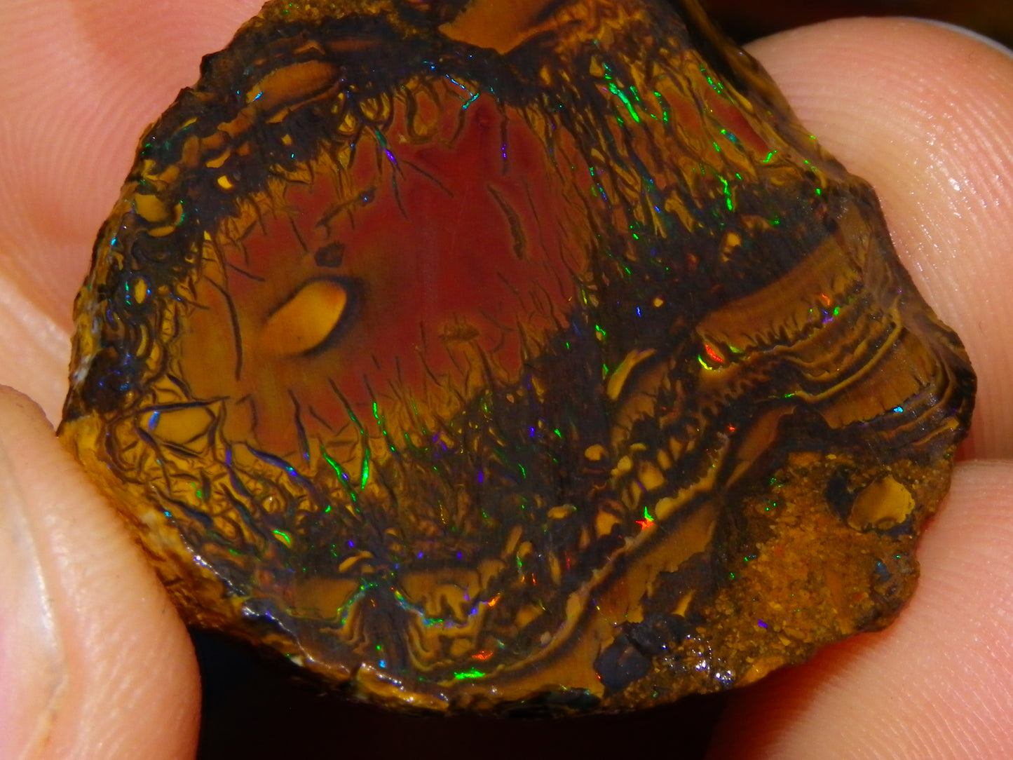 Nice Rough/Sliced Koroit Opal Parcel 148.4cts red/Green/Blue Fires Pair Qld Australia
