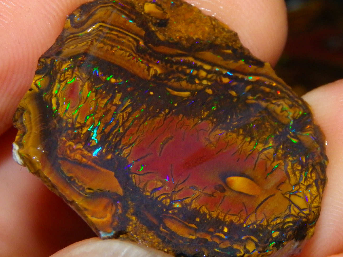 Nice Rough/Sliced Koroit Opal Parcel 148.4cts red/Green/Blue Fires Pair Qld Australia