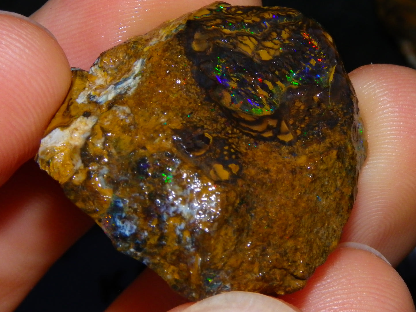 Nice Rough/Sliced Koroit Opal Parcel 148.4cts red/Green/Blue Fires Pair Qld Australia