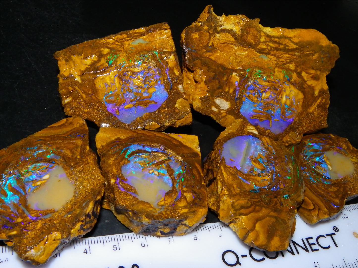 Very Nice Qld Pipe Opal Rough Slice Parcel/Set 2240cts Blue/Green/Purple Collectors lot 6 Piece