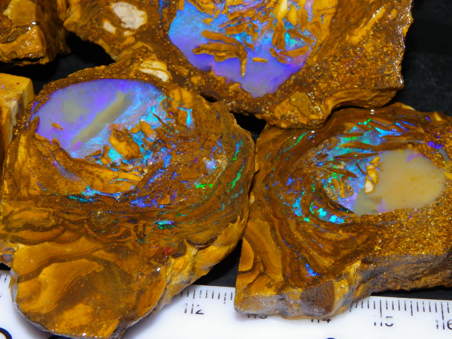 Very Nice Qld Pipe Opal Rough Slice Parcel/Set 2240cts Blue/Green/Purple Collectors lot 6 Piece