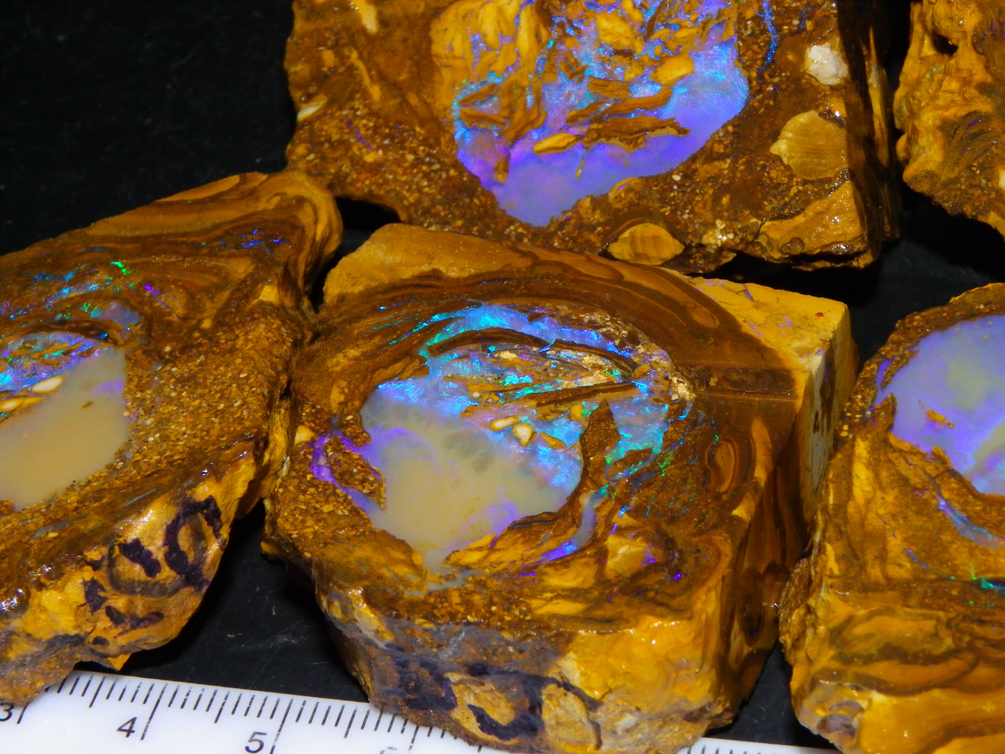Very Nice Qld Pipe Opal Rough Slice Parcel/Set 2240cts Blue/Green/Purple Collectors lot 6 Piece