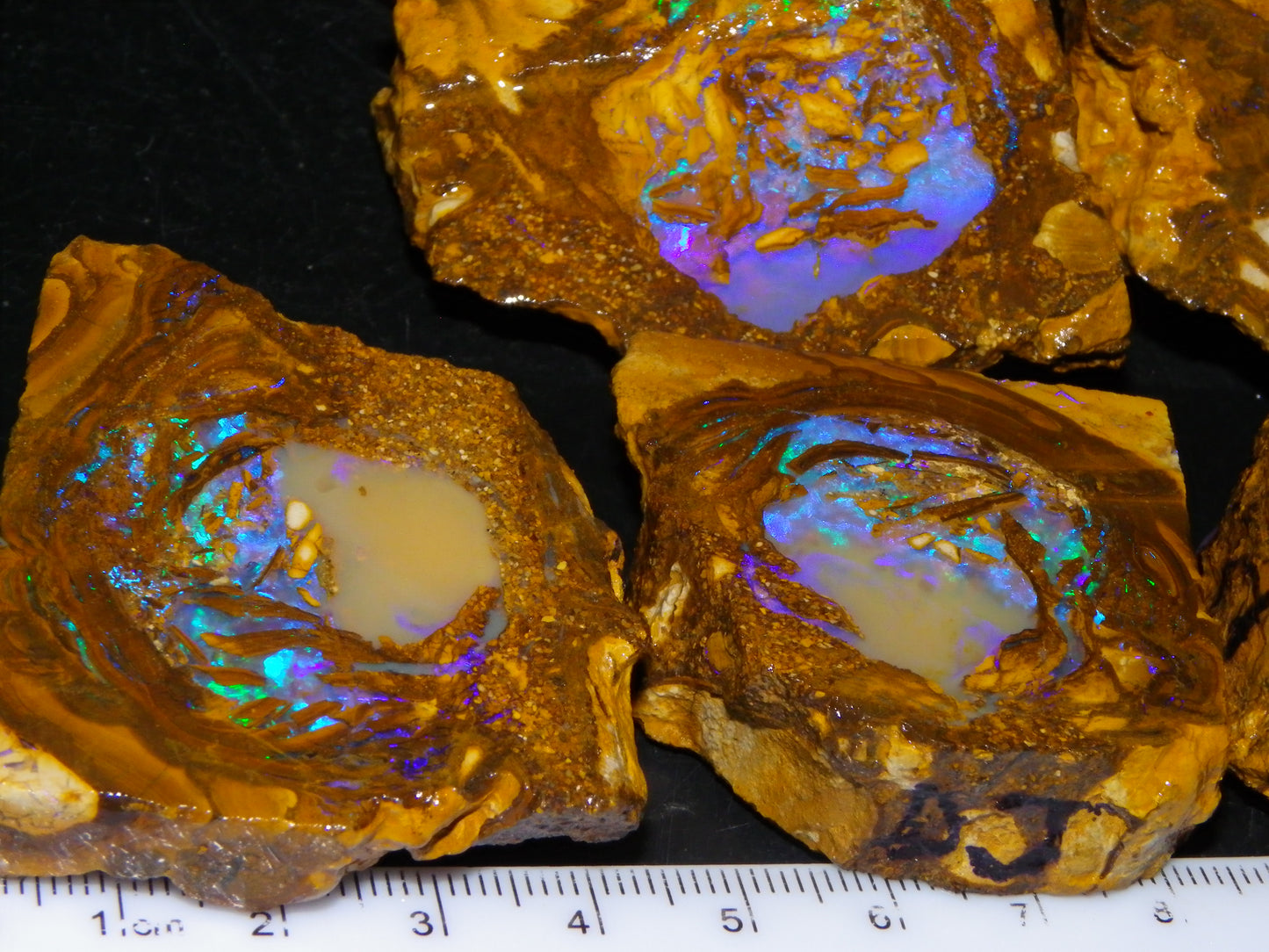Very Nice Qld Pipe Opal Rough Slice Parcel/Set 2240cts Blue/Green/Purple Collectors lot 6 Piece