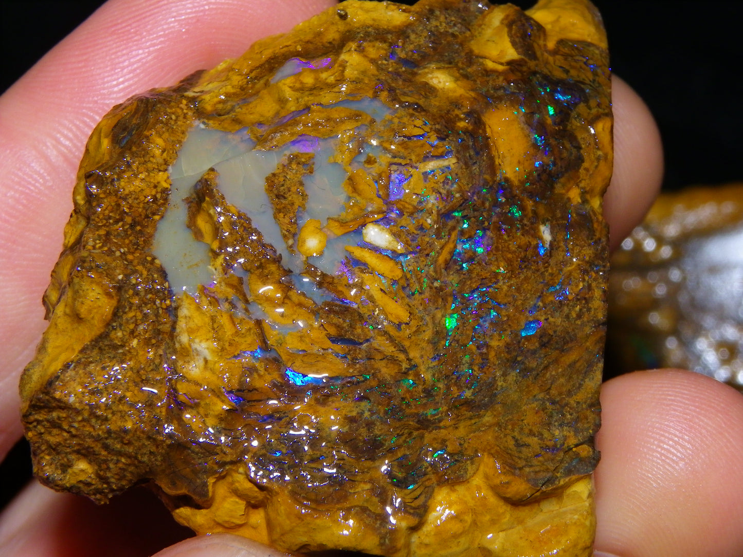 Very Nice Qld Pipe Opal Rough Slice Parcel/Set 2240cts Blue/Green/Purple Collectors lot 6 Piece