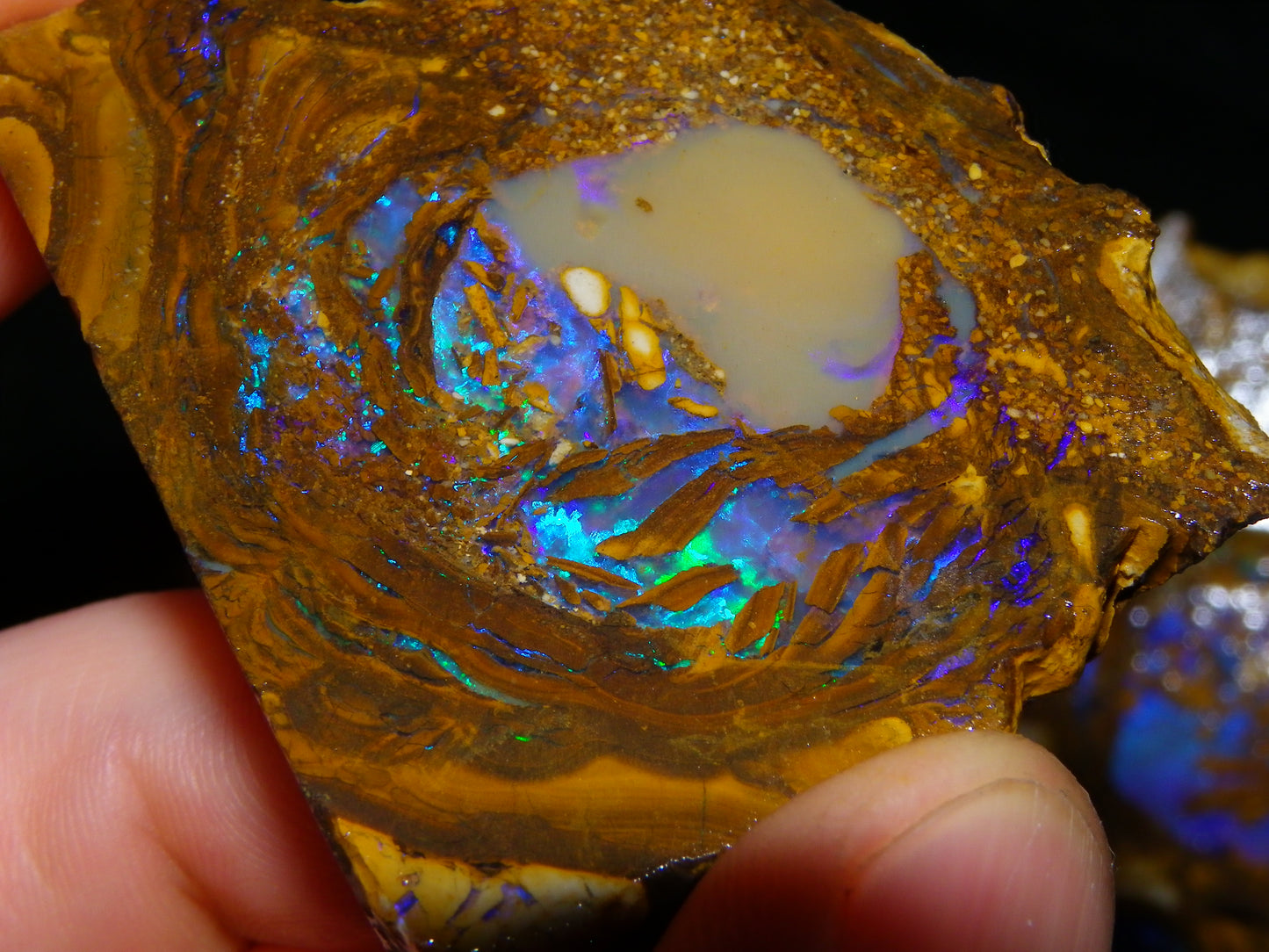 Very Nice Qld Pipe Opal Rough Slice Parcel/Set 2240cts Blue/Green/Purple Collectors lot 6 Piece