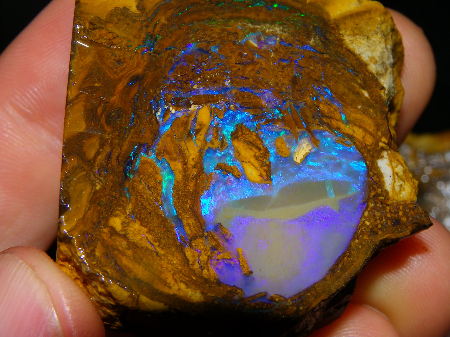 Very Nice Qld Pipe Opal Rough Slice Parcel/Set 2240cts Blue/Green/Purple Collectors lot 6 Piece