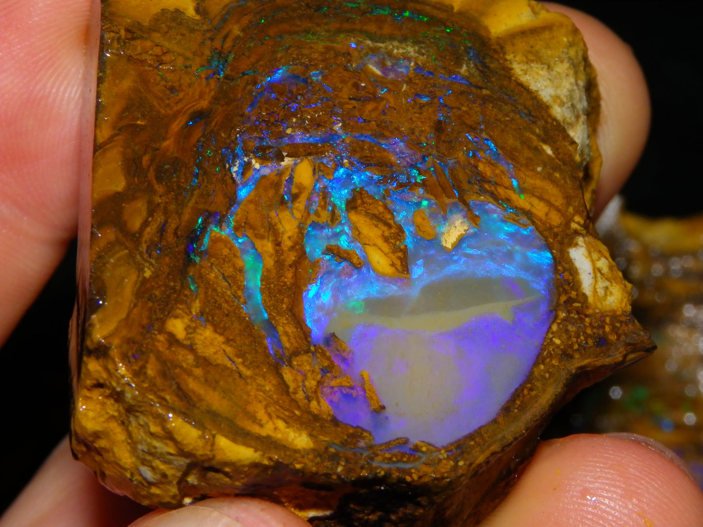 Very Nice Qld Pipe Opal Rough Slice Parcel/Set 2240cts Blue/Green/Purple Collectors lot 6 Piece