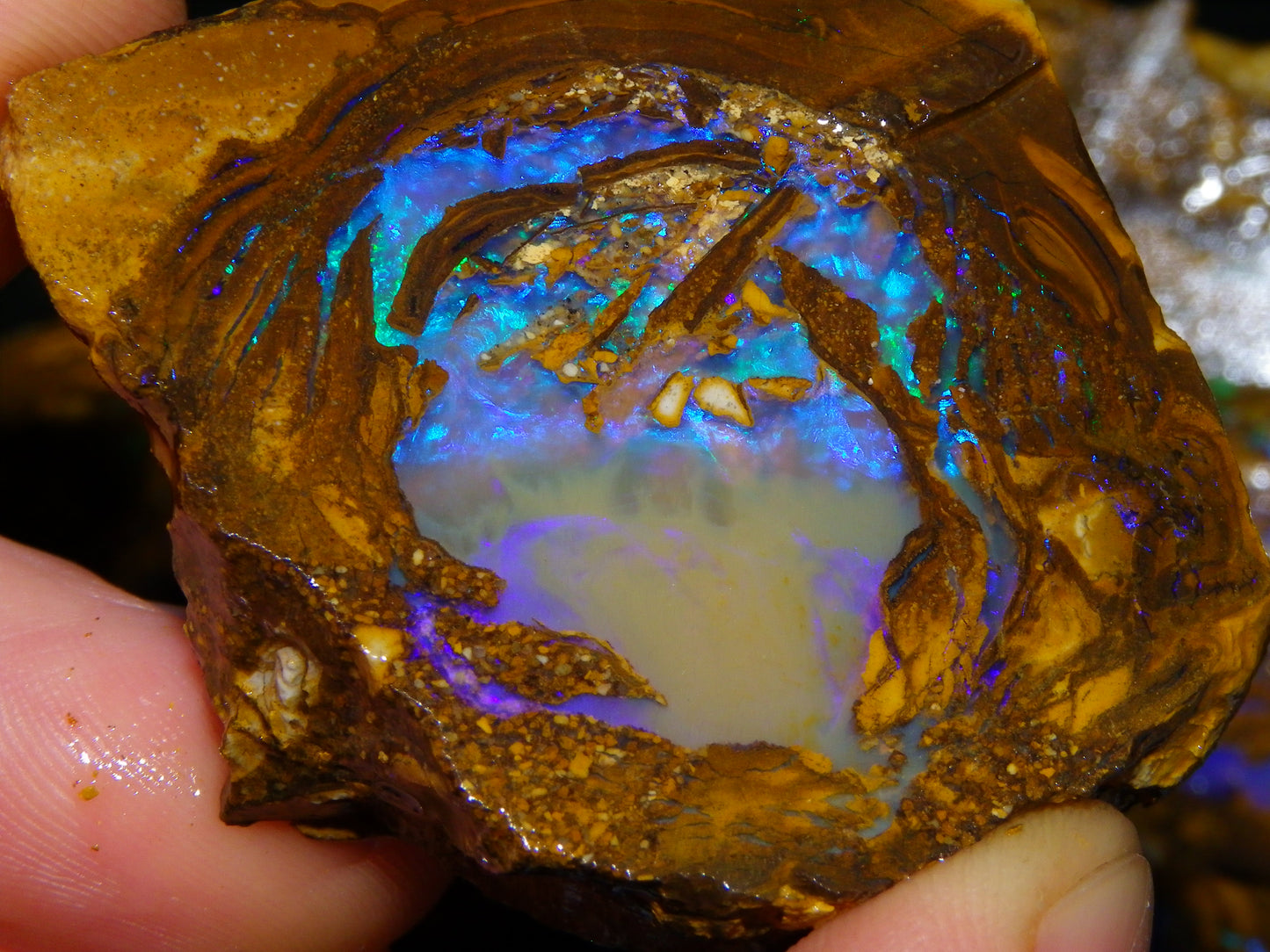 Very Nice Qld Pipe Opal Rough Slice Parcel/Set 2240cts Blue/Green/Purple Collectors lot 6 Piece